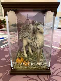 Harry Potter | Catawiki