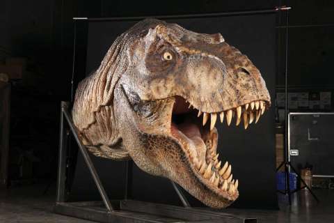 Full-scale male T-Rex head display from Jurassic Park | Profiles in History
