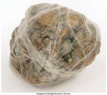 FX spider egg sac from Arachnophobia....