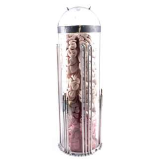 Saturn 3 (1980) | Hector’s Brain | Propstore