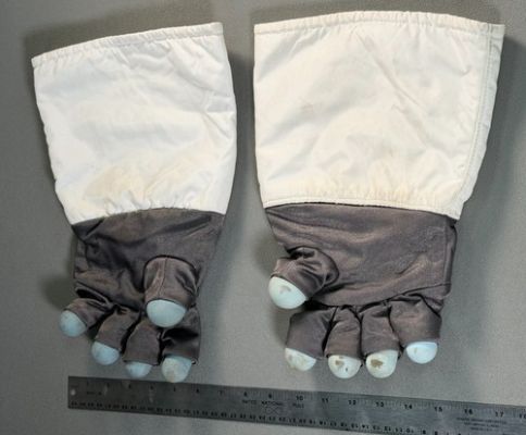 Used Apollo Spacesuit LEVA Gloves - Film costume