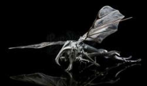 Starship Troopers | Flying Hopper Maquette | Propstore