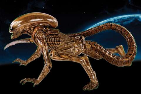 Lot 723 - ALIEN 3 REFERENCE MODEL