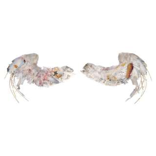 DOGMA (1999) - Lot #92 : Bartleby‘s (Ben Affleck) Squibbed Wings