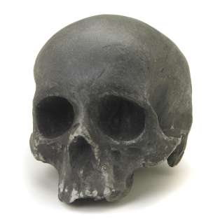 A prop skull from "The Terminator" | Bonhams