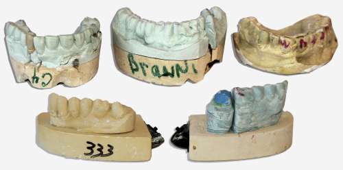 ’’Captain Kangaroo’’ Mr. Green Jeans Set of Teeth Impressions | Nate Sanders