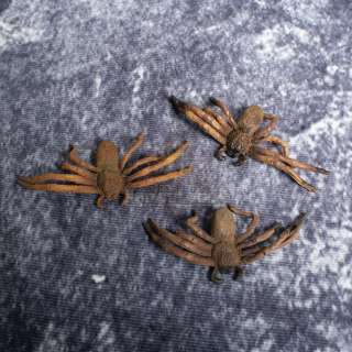 Lot 28 - Arachnophobia - Prop Spiders - A571