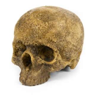 Lot 72 - PATHS OF THE DEAD SKULL