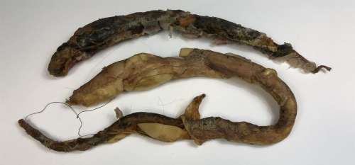 Lot 162 - Slither (2006) - Set of 2 Appliances