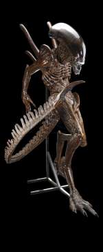 Alien: Resurrection (1997) | Xenomorph Alien Display with Tail | Propstore