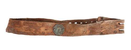 Lost | Polar Bear collar | Profiles in History