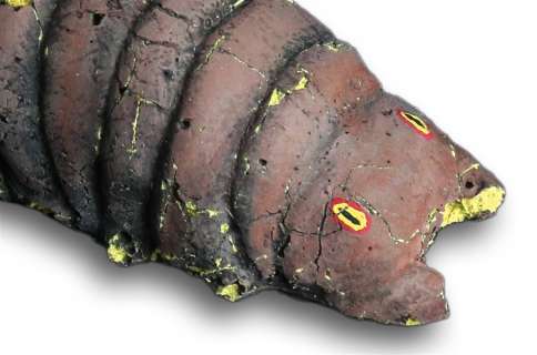 Ceti Eel Creature From “Star Trek II; the Wrath Of Khan” | Studio Auctions