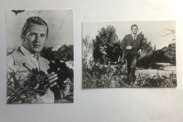 Interpress - Roy Thinnes - David Vincent - Les envahisseurs ( The Invaders) - 2 photos de presse originales -