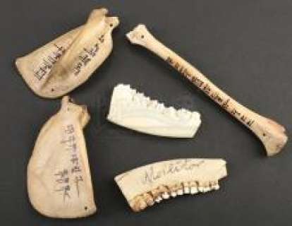 Penny Dreadful | S2E02 - Verbis Diablo: Bone Relics | Propstore