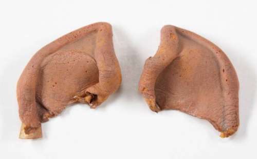 LEONARD NIMOY SPOCK PROSTHETIC EARS | Julien’s