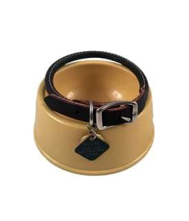 The Age of Adaline Reese The Dog Movie Props | Premiere Props