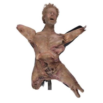 THE THING (2011) - Lot #403 : Edvard-Thing Animatronic Puppet