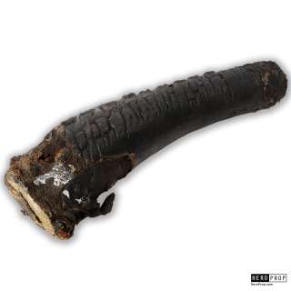 Avp | Alien vs. Predator (2004) – Xenomorph Spine | HeroProp