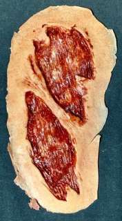 Lot 24 - Gerald‘s Game (Stephen King 2017) - Bruce Greenwood Appliance