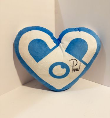 Fansly Pack (robe and signed pillow) - PMW‘s "24 Hour Tag" Original Prop