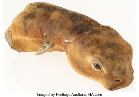 Star Trek Franchise (Paramount TV, 1966-Present), Collection of (6) Small Alien Creature Props | Heritage