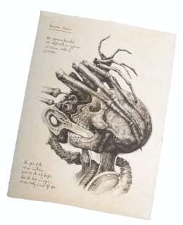 Alien: Covenant – David’s (Michael Fassbender) Prop “Facehugger” Drawing – A517 | Icons of Pop Culture