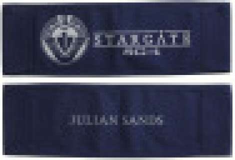 Stargate - Lot #45 - Stargate Chair Back