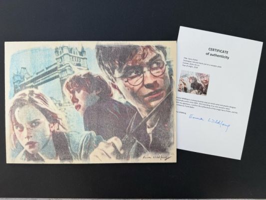 Emma Wildfang - 1 Original drawing - Harry Potter - Ink and Chark Coal on a Wooden Plate (incl. Certificate) - 2018 | Catawiki