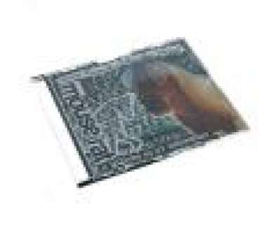 Parks And Recreation | Mouse Rat 5000 Candles In The Wind Album - 1 of 3 | ScreenBid