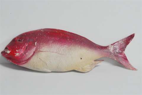 Jaws 2 (1978) Prop Fish Used for Set Decoration W/COA | GWS Auctions