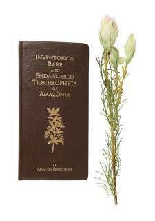THE INCREDIBLE HULK - Bruce Banner‘s (Edward Norton) Botany Book and Flower