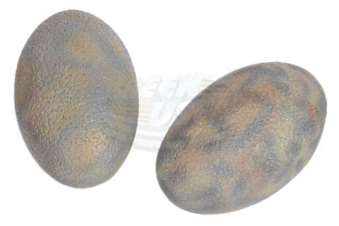 Jurassic Park - Velociraptor Eggs | ScreenUsed
