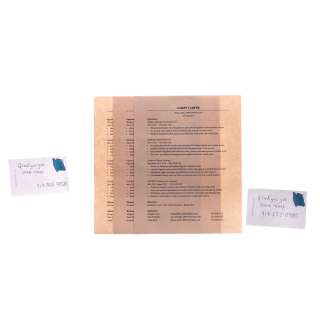 Love Life Darby Anna Kendrick Production Used Resumes & Notes From Grant | VIP Fan Auctions