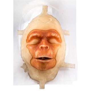 Planet of the Apes Chimp Silicon Appliance Casting | Blacksparrow
