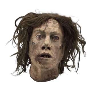 The Great Prosthetic Heads | VIP Fan Auctions