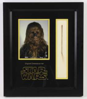 Star Wars: A New Hope (1977) - A Chewbacca Hair Display. The incredibly rare Chewbacca hair is made… | Ewbank’s