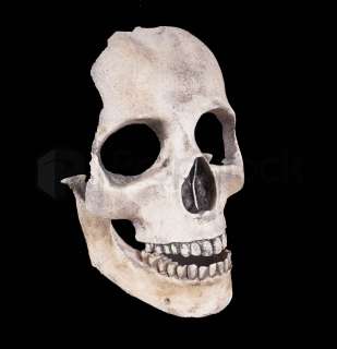 Alien: Covenant Dead Engineer Skull | The Prop Block