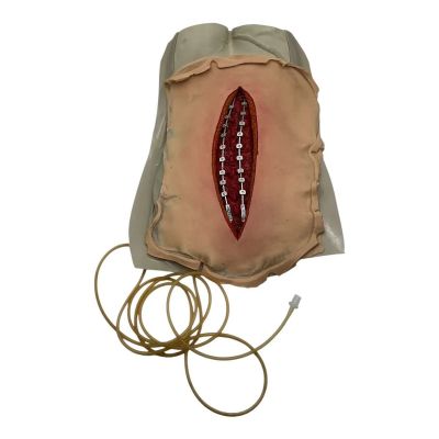 Lot 39: Mother Mary Mother Mary Production Used Prosthetic Back Piece | VIP Fan Auctions