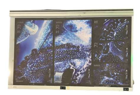 Pacific Rim (2013) - Kaiju Light Board | Hanlin Auction Service