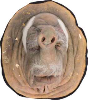 A ’Vogon’ Large Animatronic Face Mask from "The Hitchhiker’s Guide to the Galaxy." | Heritage
