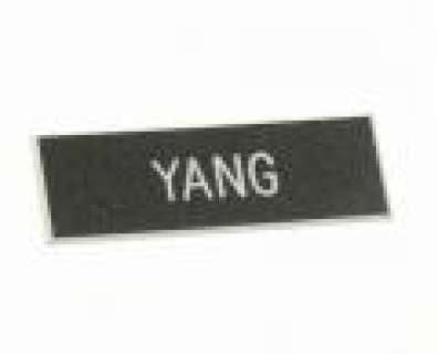 Billy Lynn’s Long Halftime Walk | Foo’s "Yang" Nametag | ScreenBid
