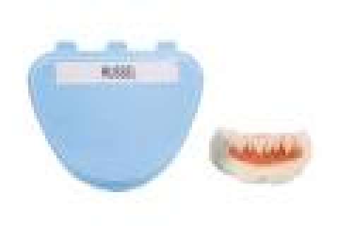 True Blood - Lot 718 - Russell‘s Hard Teeth