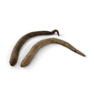 Carlo Rambaldi | Dune (1984) | Sotheby’s