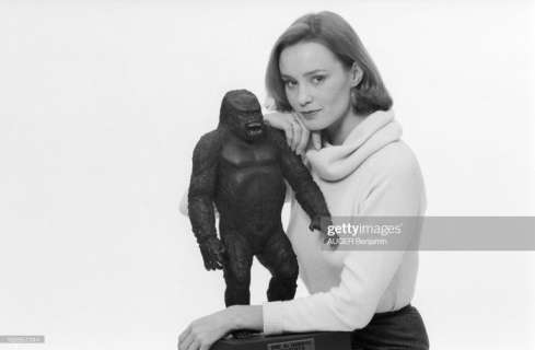 King Kong - Very rare Statue (56 cm) on base, from the 1976 Dino De Laurentiis Production - Made for selected | Catawiki