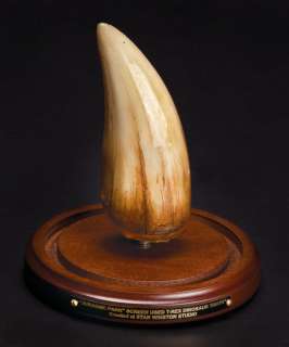 Screen-used T-Rex tooth from Jurassic Park | Profiles in History