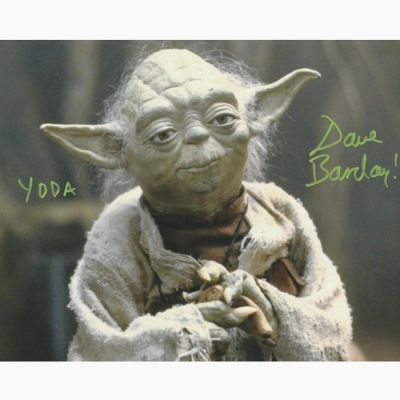 Star Wars - Signed by Dave Barclay (Yoda) | Catawiki