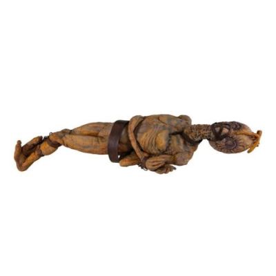 NAKED LUNCH (1991) - Lot #429 : Full-Size Captive Mugwump Puppet