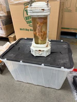 Dinosaur Fetus Prop from Jurassic World: Rebirth | Charitybuzz