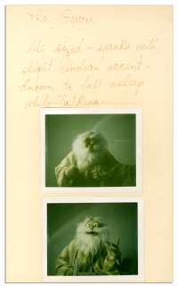 Jim Henson Handwritten Character Description of Muppet Brewster ’’The Guru’’ -- With Polaroid Photos of The Prototype | Nate Sanders