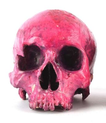 Deadpool & Wolverine (2024) Production-made Blood-drenched skull from the Marvel Cinematic… | Ewbank’s